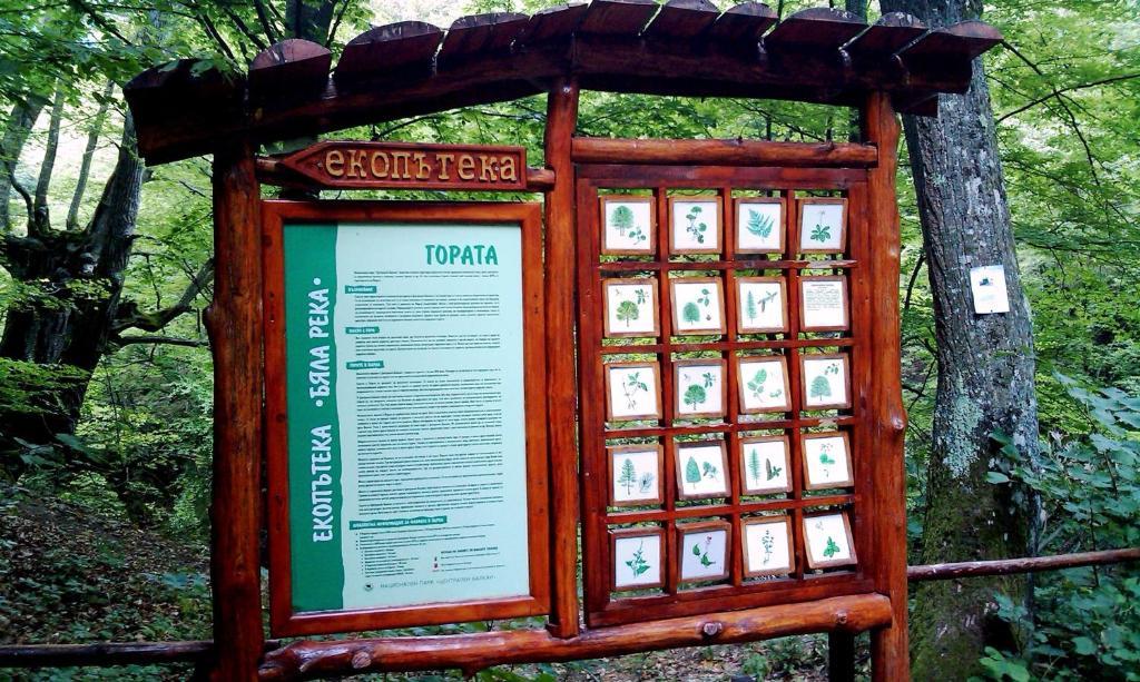 קלופר Гостоприемница Георги מראה חיצוני תמונה